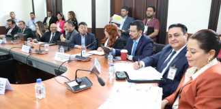 El viceministro de Energía y Minas, Francisco Tzirín, y el secretario ejecutivo de Conap, Igor De la Roca, hacen observaciones a la iniciativa de ley de infraestructrura para el transporte de energía eléctrica. Foto: Congreso de la República