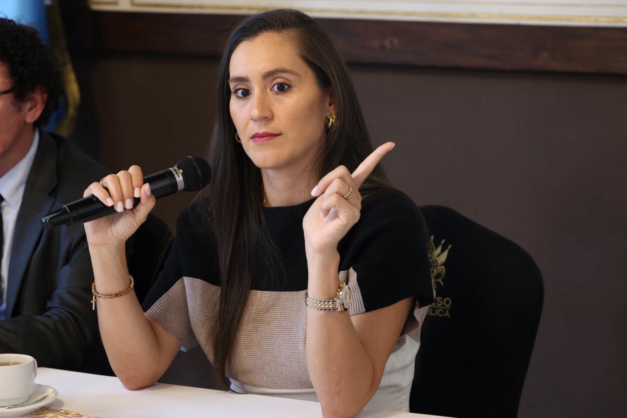 Karina Paz comenzó su carrera en el Congreso con la UNE y, hasta ahora, suma tres banderas políticas.