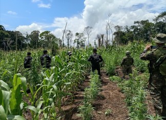 Un soldado falleció luego de ser atacado por presuntos integrantes de una estructura criminal durante un operativo antinarcótico en Alta Verapaz.