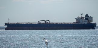 Partido opositor Primero Justicia pide transparencia a EE. UU. y Venezuela por pacto petrolero PJ reclama información detallada sobre el impacto del pacto petrolero con Estados Unidos