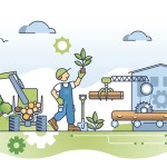 Las cifras no mienten: conservar es más rentable que destruir y los bosques dejan mucho a la economía. Arte La Hora: Shutterstock