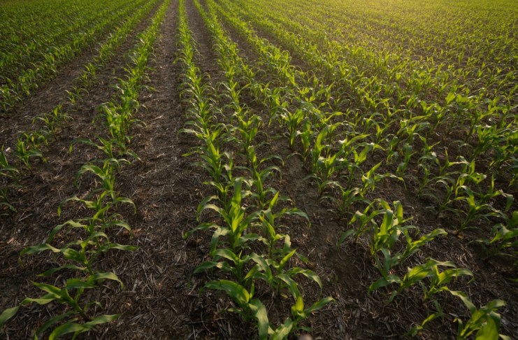 El veto no sepulta la reforma al IUSI: el Congreso puede modificarla o insistir en el texto aprobado La actualización catastral también aplicaría al agro, sugiere estudio. Foto La Hora: Shutterstock