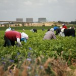 Ante incertidumbre migratoria, los envíos de remesas crecen. Foto La Hora: Shutterstock