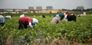 Ante incertidumbre migratoria, los envíos de remesas crecen. Foto La Hora: Shutterstock