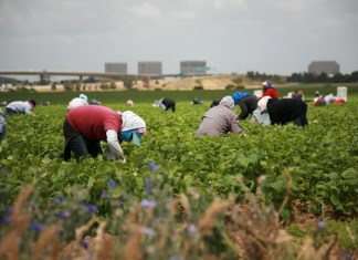Ante incertidumbre migratoria, los envíos de remesas crecen. Foto La Hora: Shutterstock