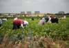Guatemala recibió en julio USD 2 mil 468 millones, el monto más alto mensual, según el Banguat Ante incertidumbre migratoria, los envíos de remesas crecen. Foto La Hora: Shutterstock