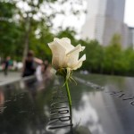 AME3801. NUEVA YORK (ESTADOS UNIDOS), 05/09/2026.- Fotografía del 31 de agosto de 2026 que muestra una flor puesta en el Monumento y Museo Nacional del 11 de Septiembre en Nueva York (Estados Unidos). EFE/Ángel Colmenares