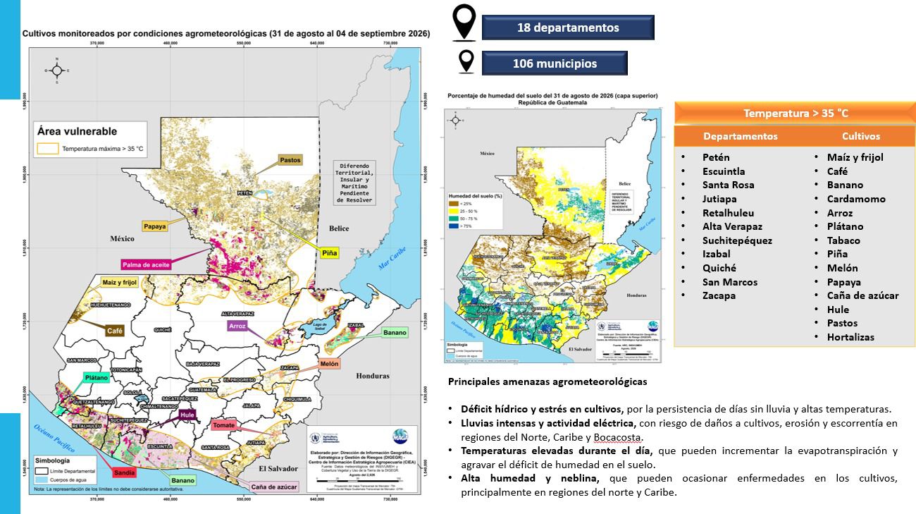 Mapa de cultivos monitoreados con fecha del 31 de agosto.