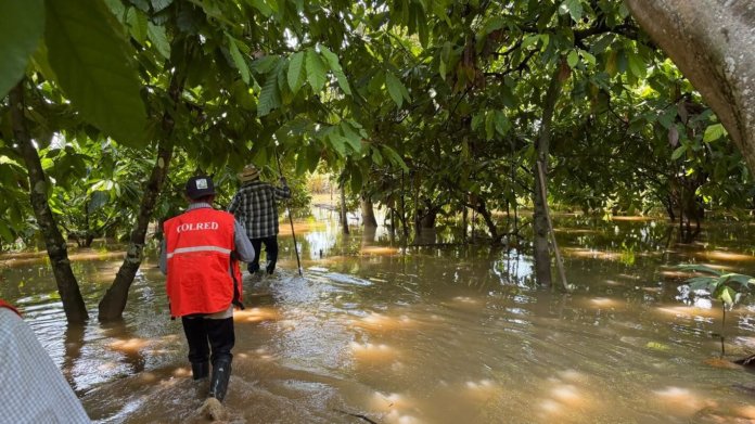 Debido a la lluvia se atendieron varias emergencias en Alta Verapaz este sábado, 26 de septiembre. Foto La Hora: Conred