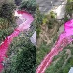 Río Las Vacas teñido de rojo. Foto La Hora: captura de pantalla.