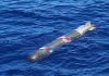 torpedo de prácticas hallado frente a Ensenada. Foto La Hora: RR. SS.