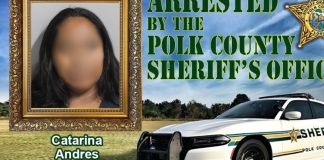 Guatemalteca detenida en Florida tras chocar contra patrulla. Foto La Hora: Oficina del Sheriff del Condado de Polk (Florida).