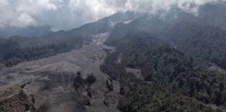 Avalanchas de material volcánico afectando el límite de la vegetación en el Volcán de Fuego. Foto La Hora: Insivumeh