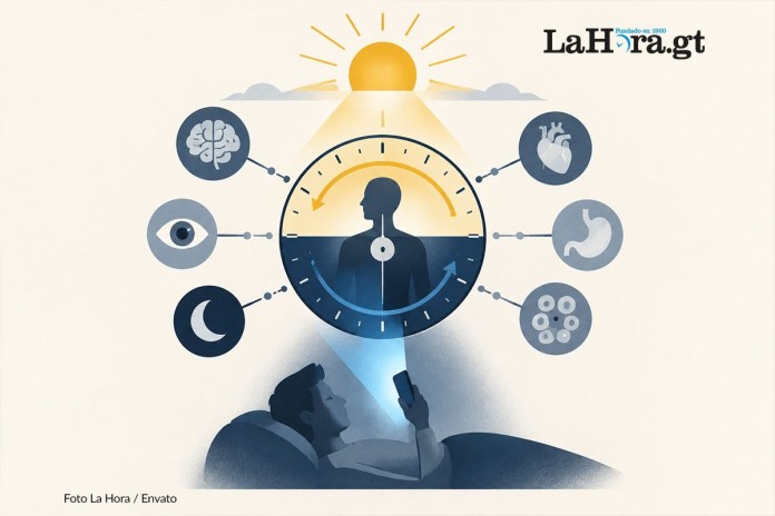 BIENESTAR LUZ Lo que es bueno en el consumo de la mañana y mediodía no lo puede ser por la noche. Hay que recordar que el aparato digestivo tiene su propio reloj. Foto: La Hora / ENVATO