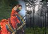 Nuevas investigaciones amplían el conocimiento sobre la guara roja y los bosques de La Moskitia en la región mesoamericana Guara roja y bosquetes de La Moskita de Mesoamerica. Foto La Hora: WCS