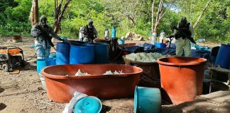 México desmantela cuatro laboratorios dedicados a la creación de drogas sinteticas y al narcotráfico en Michoacán.