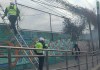 Incendio de basurero clandestino en el Puente El Incienso complica el tránsito en distintos sectores Un incendio registrado en un basurero clandestino en la colonia Madre Dormida, en el Puente El Incienso, complica el tráfico en varios sectores de la Ciudad de Guatemala.