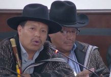 Los alcaldes indígenas indicaron ante diputados del Congreso que manifestarán el miércoles en el Aeropuerto La Aurora. Foto La Hora: captura de pantalla video Congreso