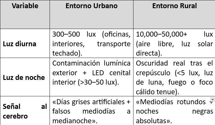 Explicación tabla 1.Foto: referencia columnas