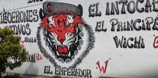 Los Tiguerones