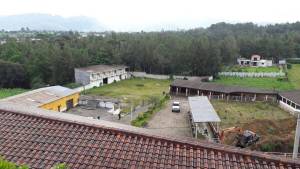 Familiares de "El Señor de los Caballos" reclaman defensa de finca que el MP busca extinguir