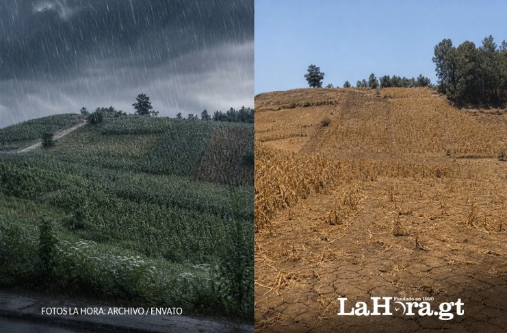 MAGA Agricultura