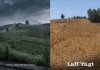 Las torrenciales lluvias de los últimos días en el territorio guatemalteco no salvan a los cultivos MAGA Agricultura