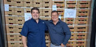 De ganado a exportación de mango: el trayecto de una finca en Zacapa y la apuesta por lograr exportar más a los Estados Unidos De una finca ganadera a la exportación de mango hacia Estados Unidos.