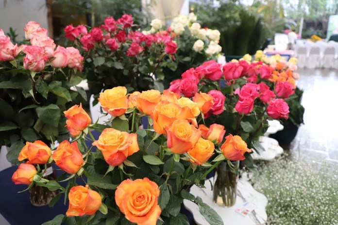Guatemala busca llevar sus plantas ornamentales a nuevos mercados y transformar las oportunidades comerciales en mayor crecimiento.