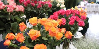 Guatemala busca llevar sus plantas ornamentales a nuevos mercados y transformar las oportunidades comerciales en mayor crecimiento.