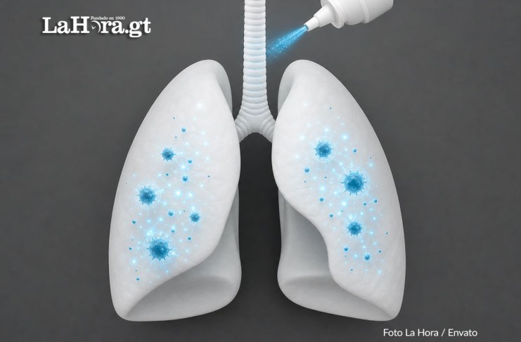 Científicos logran rejuvenecer las defensas de los pulmones con una sola dosis de vacuna nasal Pulmón