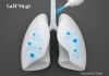 Científicos logran rejuvenecer las defensas de los pulmones con una sola dosis de vacuna nasal Pulmón