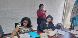 CDAG recibe inspección de Trabajo por señalamientos de condiciones laborales La viceministra de Trabajo, Damaris Oliva, respondió por la contratación de personal en renglón 029. Foto: La Hora